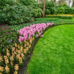 Colorful garden landscape and grassy lawn