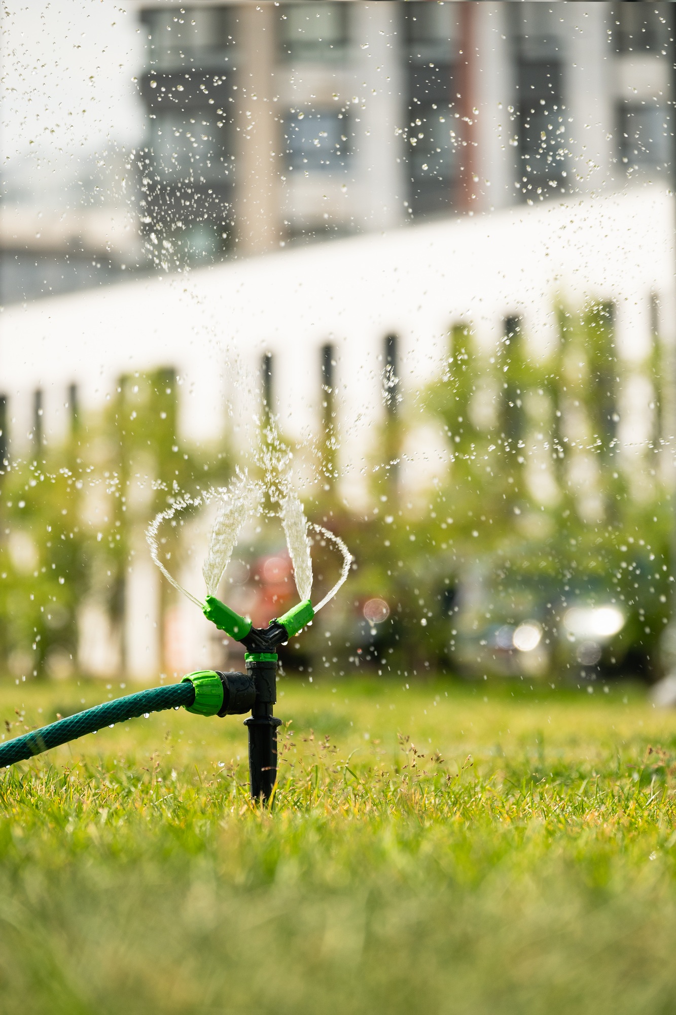 Green lawn automatic irrigation system in park. Watering lawn at heat summer.